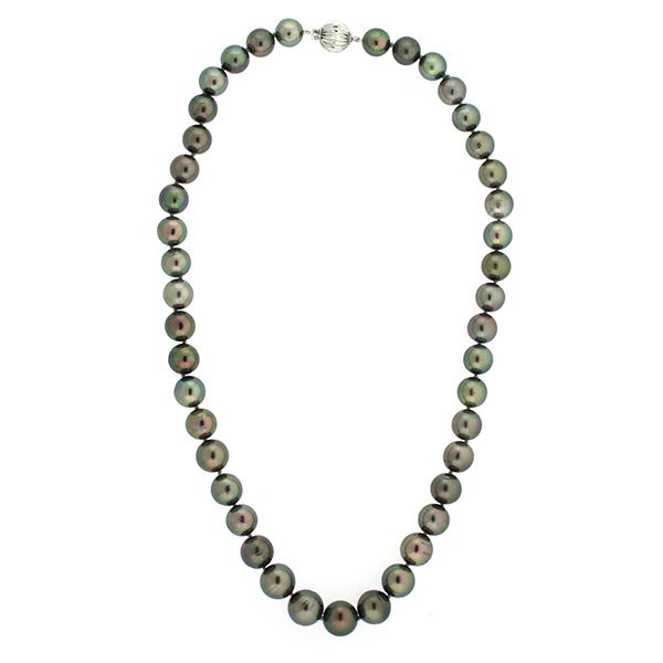 Tahitian Pearl Necklace Goldstein's Jewelers Mobile, AL