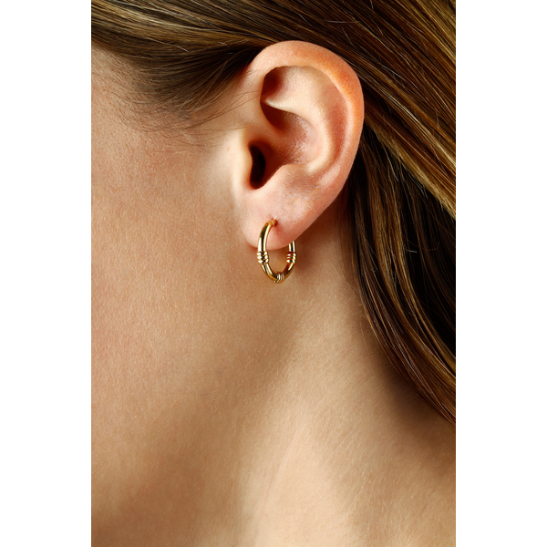 Gold Earrings Image 2 Grader Jewelers Groton, CT
