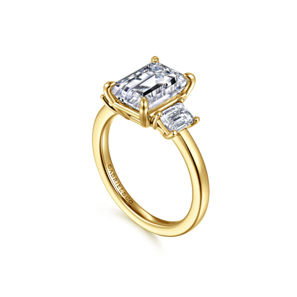Stephi Yellow Gold Emerald Cut Engagement Ring Image 2 Graham Jewelers Wayzata, MN