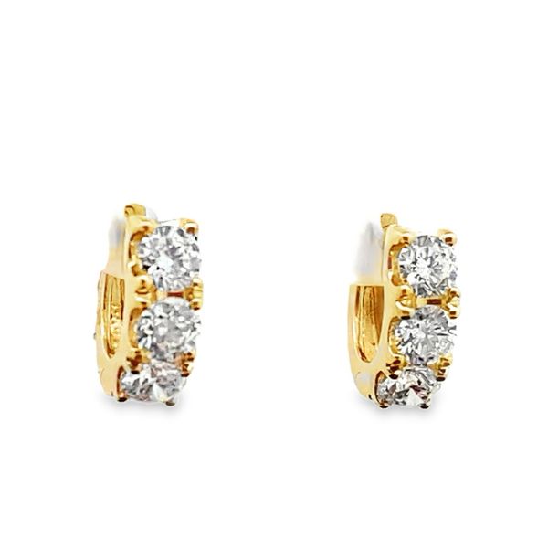 Earrings Image 2 Graham Jewelers Wayzata, MN