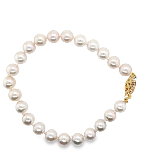 Bracelet Graham Jewelers Wayzata, MN