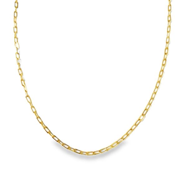 Classic Yellow Gold Paper Clip Necklace Graham Jewelers Wayzata, MN