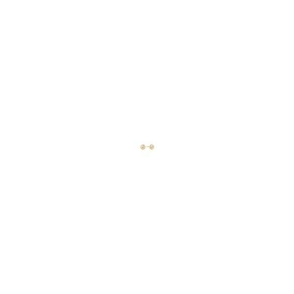 Sterling Silver Gold Plated Textured Bezel-Set Stud Earrings Gray's Jewelers Bespoke Saint James, NY