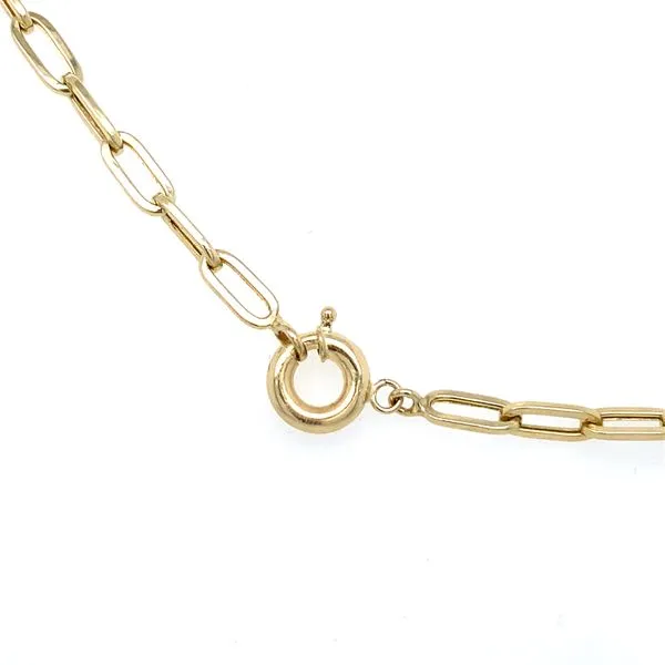 14K Yellow Gold Paper Clip Necklace Image 2 Gray's Jewelers Bespoke Saint James, NY