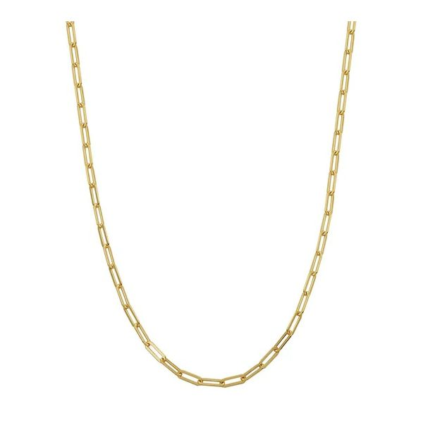Sterling Silver Gold Plated Paperclip Chain Necklace Gray's Jewelers Bespoke Saint James, NY