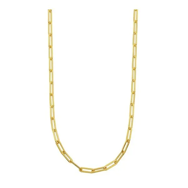 Sterling Silver Gold Plated Paperclip Chain Necklace Gray's Jewelers Bespoke Saint James, NY