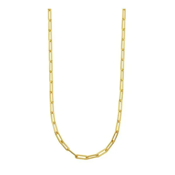 Sterling Silver Necklace made with Paperclip Chain Gray's Jewelers Bespoke Saint James, NY