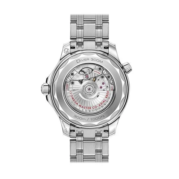 Omega Seamaster Diver 300M Co-Axial Master Chronometer 42MM Watch. Steel on steel. 21030422001001. Image 2 Graziella Fine Jewellery Oshawa, ON