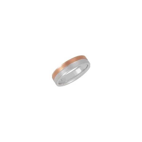 MEN'S TUNGSTEN AND TITANIUM BANDS Griner Jewelry Co. Moultrie, GA