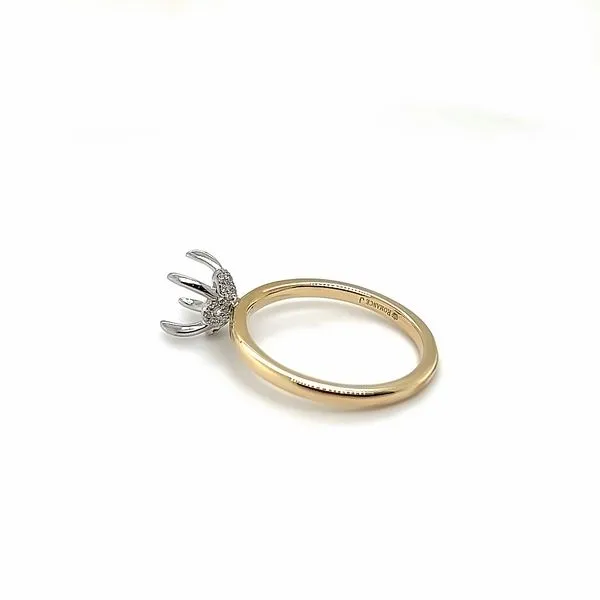 Semi-Mount Engagement Ring similar item image