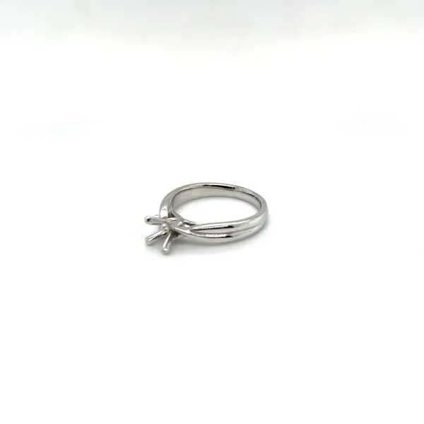 Remount Image 2 Gysbers Jewelry Waupun, WI