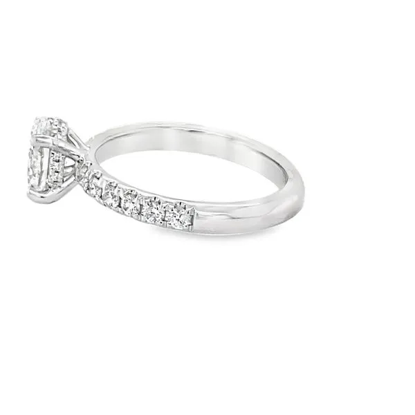 14K White Gold Oval Diamond Engagement Ring Image 2 Hannoush Jewelers, Inc. Albany, NY
