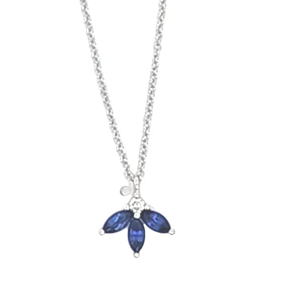 Gabriel & Co 14K White Gold Sapphire and Diamond Necklace Hannoush Jewelers, Inc. Albany, NY