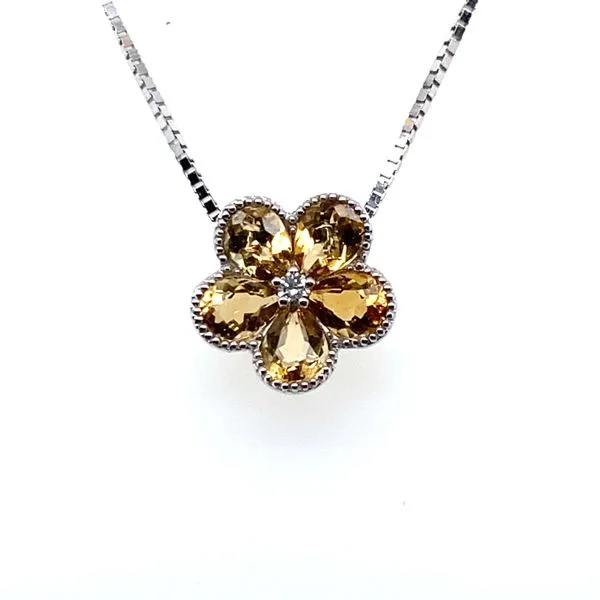 Necklace Hannoush Jewelers, Inc. Albany, NY