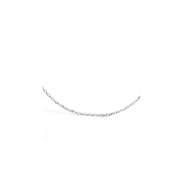 14K White Gold 16 Inch Cable Link Chain Hannoush Jewelers, Inc. Albany, NY