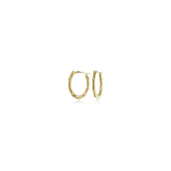 14K Gold Earrings Hannoush Jewelers, Inc. Albany, NY