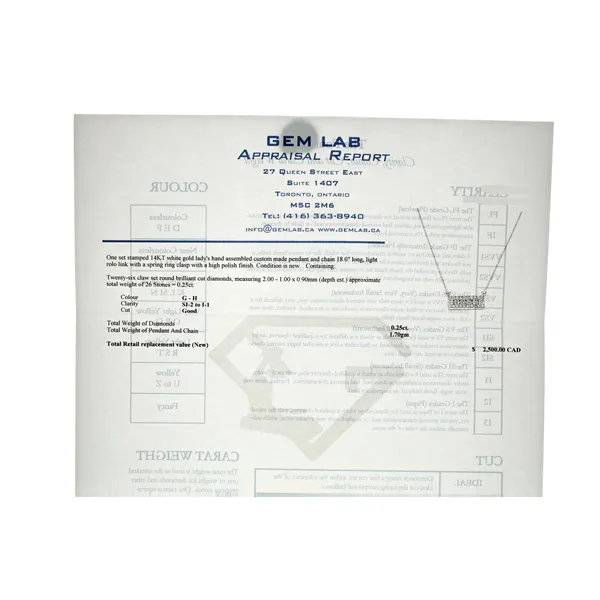 14KT White Gold 0.25ctw Diamond 18