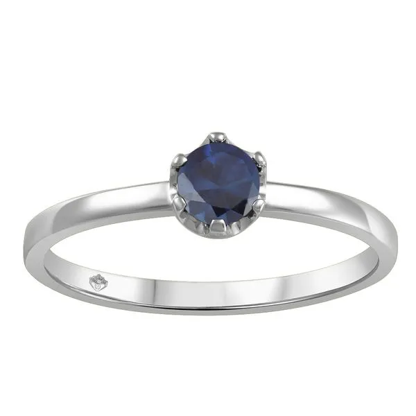 10KT White Gold Genuine Sapphire Ring Harmony Jewellers Grimsby, ON