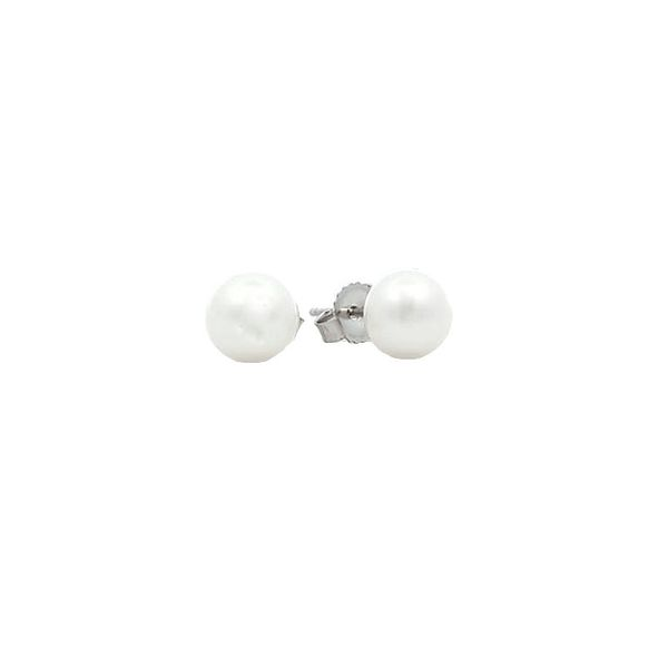 14KT White Gold 6-6.5mm Freshwater Pearl Stud Earrings Harmony Jewellers Grimsby, ON