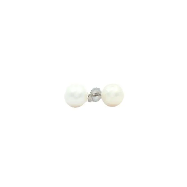 14KT White Gold 6.5-7mm Freshwater Pearl Stud Earrings Harmony Jewellers Grimsby, ON
