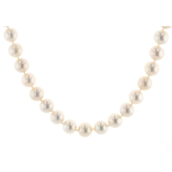 14KT White Gold 6.5-7mm Freshwater Pearl Necklace Harmony Jewellers Grimsby, ON