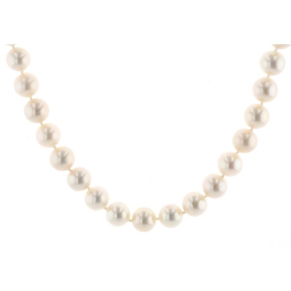 14KT Yellow Gold 6.5-7mm Freshwater Pearl Necklace Harmony Jewellers Grimsby, ON