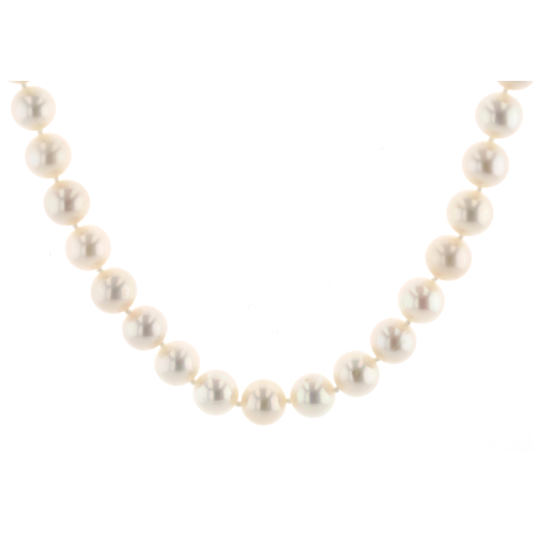 14KT Yellow Gold 8-8.5mm Freshwater Pearl Necklace Harmony Jewellers Grimsby, ON