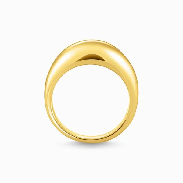 Thomas Sabo Gold-Plated Ring In Timeless Design Image 2 Harmony Jewellers Grimsby, ON