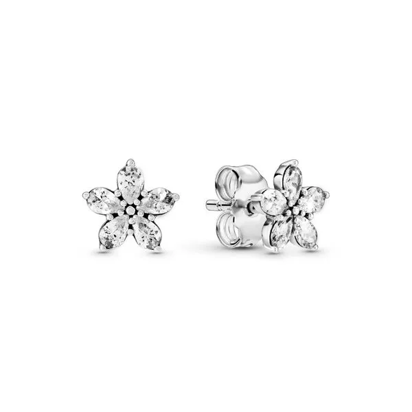 Snowflake sterling silver stud earrings Harmony Jewellers Grimsby, ON