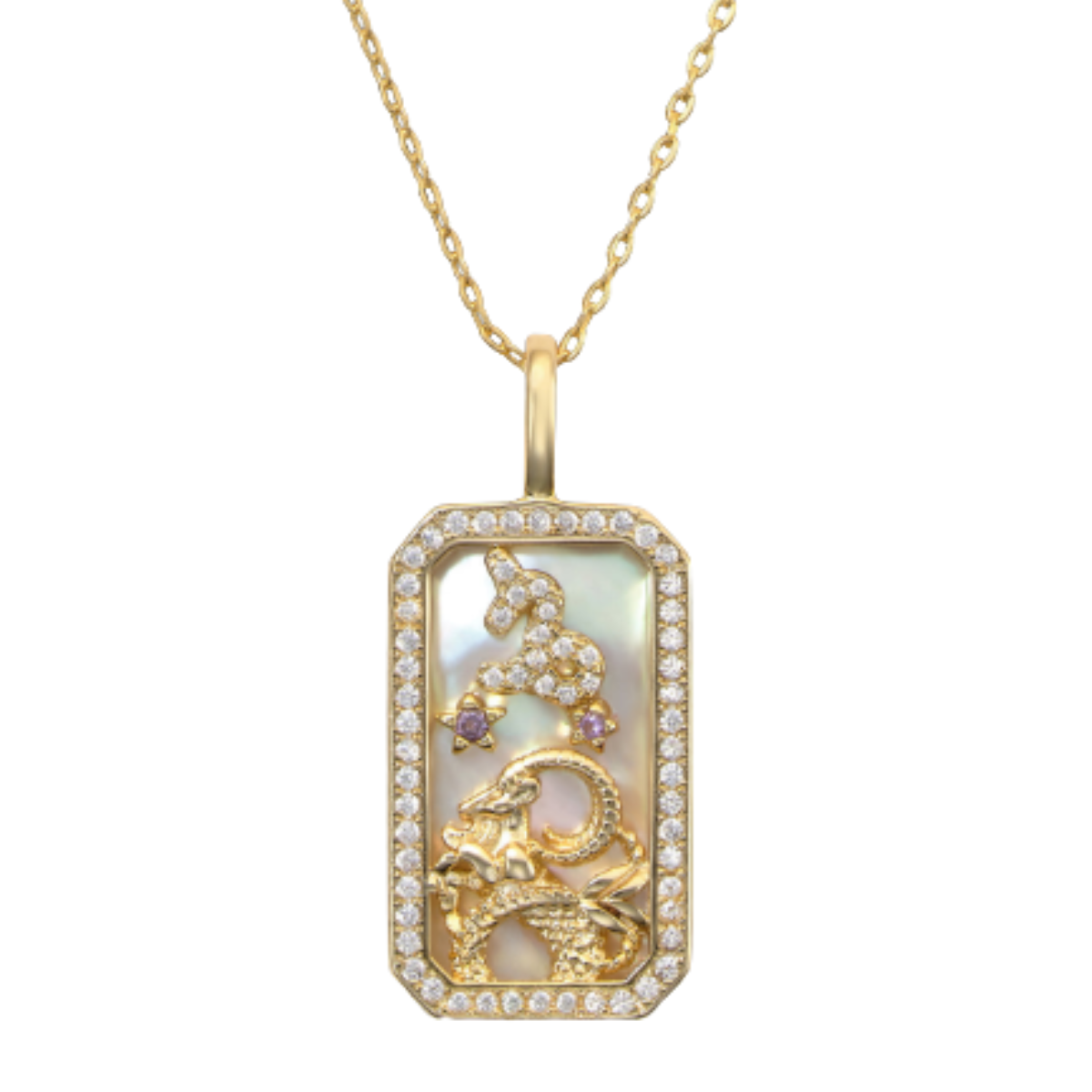 Melinda Maria Capricorn Amulet Necklace Harris Jeweler Troy, OH