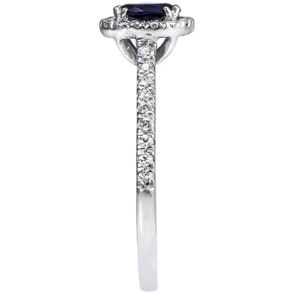 Sapphire and Diamond Halo-Style Ring Image 2 Harris Jeweler Troy, OH