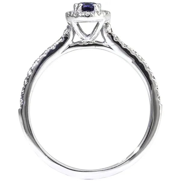 Sapphire and Diamond Halo-Style Ring Image 3 Harris Jeweler Troy, OH