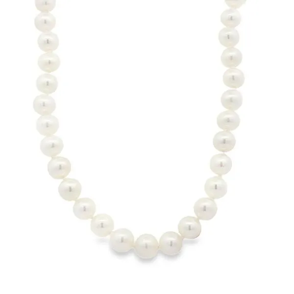Freshwater Pearl Strand - 6-6.5MM Harris Jeweler Troy, OH