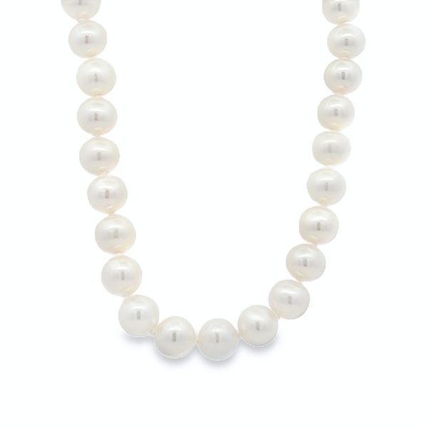 Freshwater Pearl Strand - 6-6.5MM Harris Jeweler Troy, OH