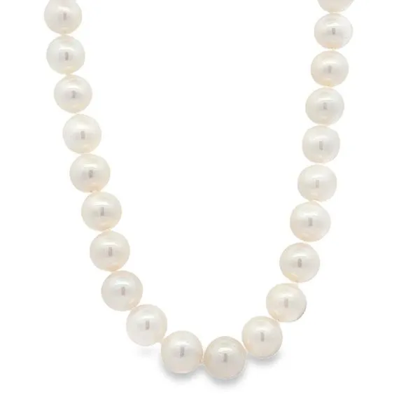 Freshwater Pearl Strand - 7-7.5MM Harris Jeweler Troy, OH