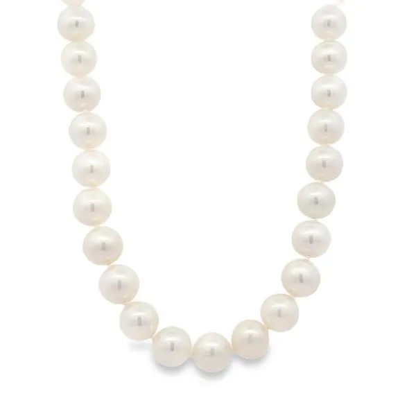 Freshwater Pearl Strand - 7-7.5MM Harris Jeweler Troy, OH
