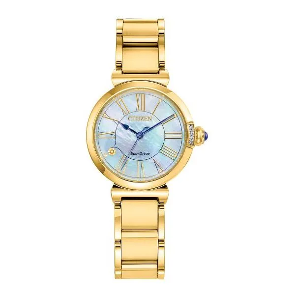 Citizen eco drive watch 2025 gold tone