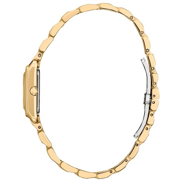 Ladies Citizen Eco-Drive Bianca Watch Image 2 Harris Jeweler Troy, OH