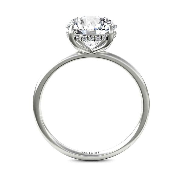 Engagement Ring Harr's Jewelry St. Johns, MI