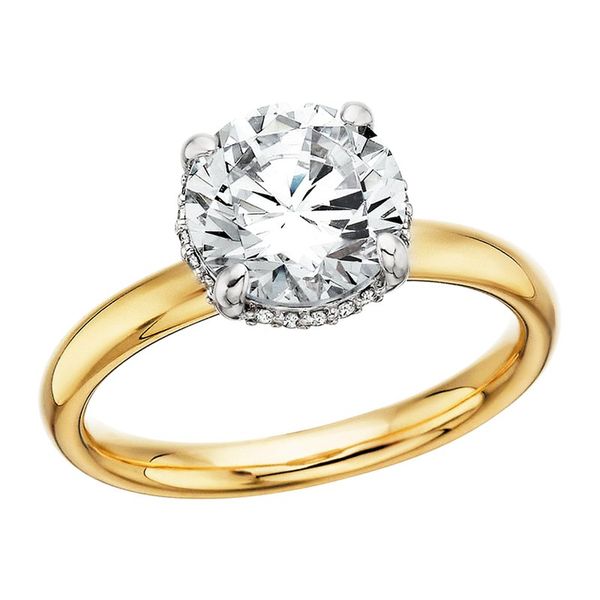 Engagement Ring Harr's Jewelry St. Johns, MI