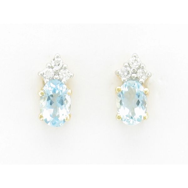 Earrings Harr's Jewelry St. Johns, MI