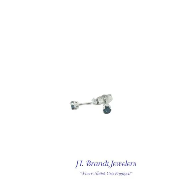 Earrings H. Brandt Jewelers Natick, MA