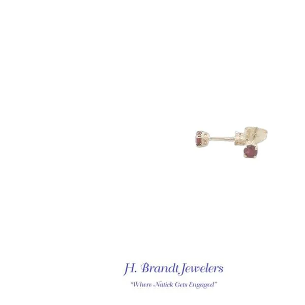 Earrings H. Brandt Jewelers Natick, MA