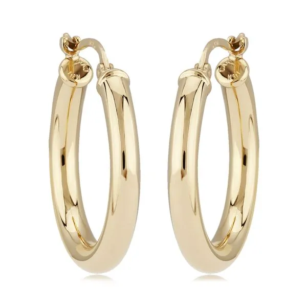 Earrings H. Brandt Jewelers Natick, MA