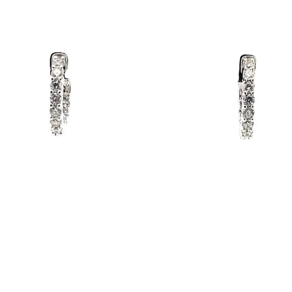 Earrings H. Brandt Jewelers Natick, MA
