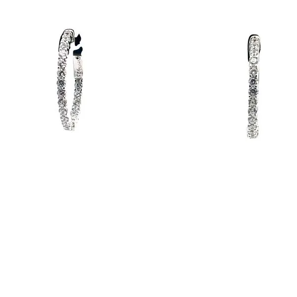 Earrings H. Brandt Jewelers Natick, MA