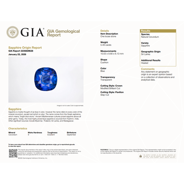 Platinum Blue Sapphire & Diamond Ring Image 2 Hildgund Honolulu, HI
