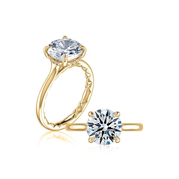 Hidden Halo Engagement Ring Image 2 Hogan's Jewelers Gaylord, MI