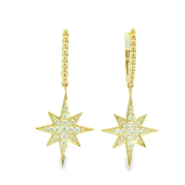 Diamond Star Earrings Hogan's Jewelers Gaylord, MI