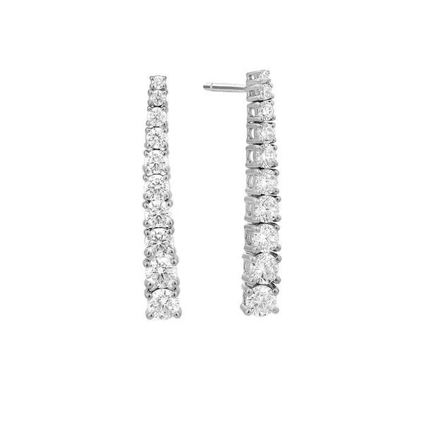 Diamond Dangle Earrings Hogan's Jewelers Gaylord, MI